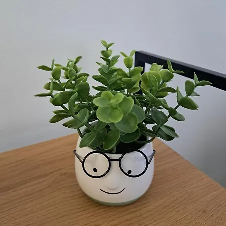 A Casa Di Gio アパート ローマ